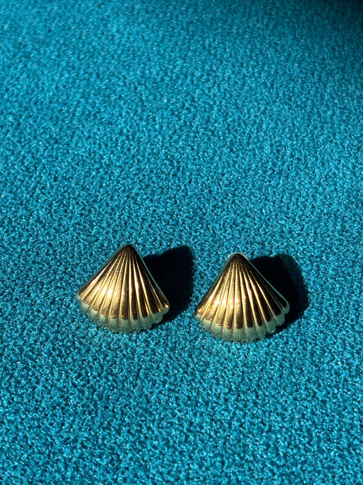Marina Shell Gold Earrings